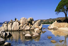 沙特阿拉伯电话卡使用查询方法